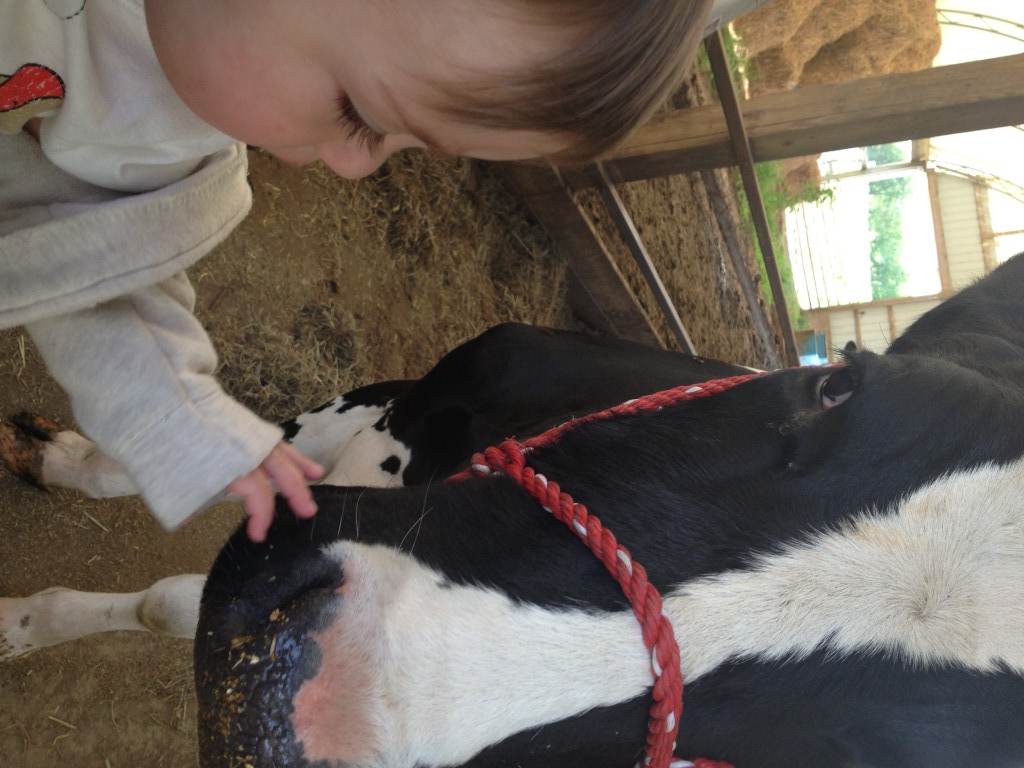 road trip with kids, farming, kids on the farm