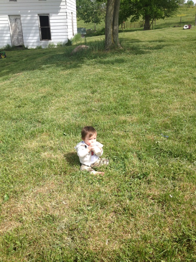 road trip with kids, farming, kids on the farm