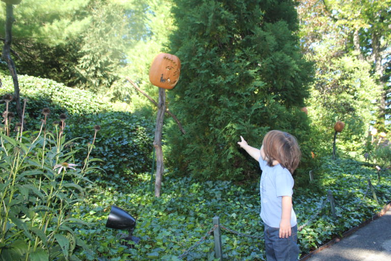 Must Do: NYBG Haunted Pumpkin Garden