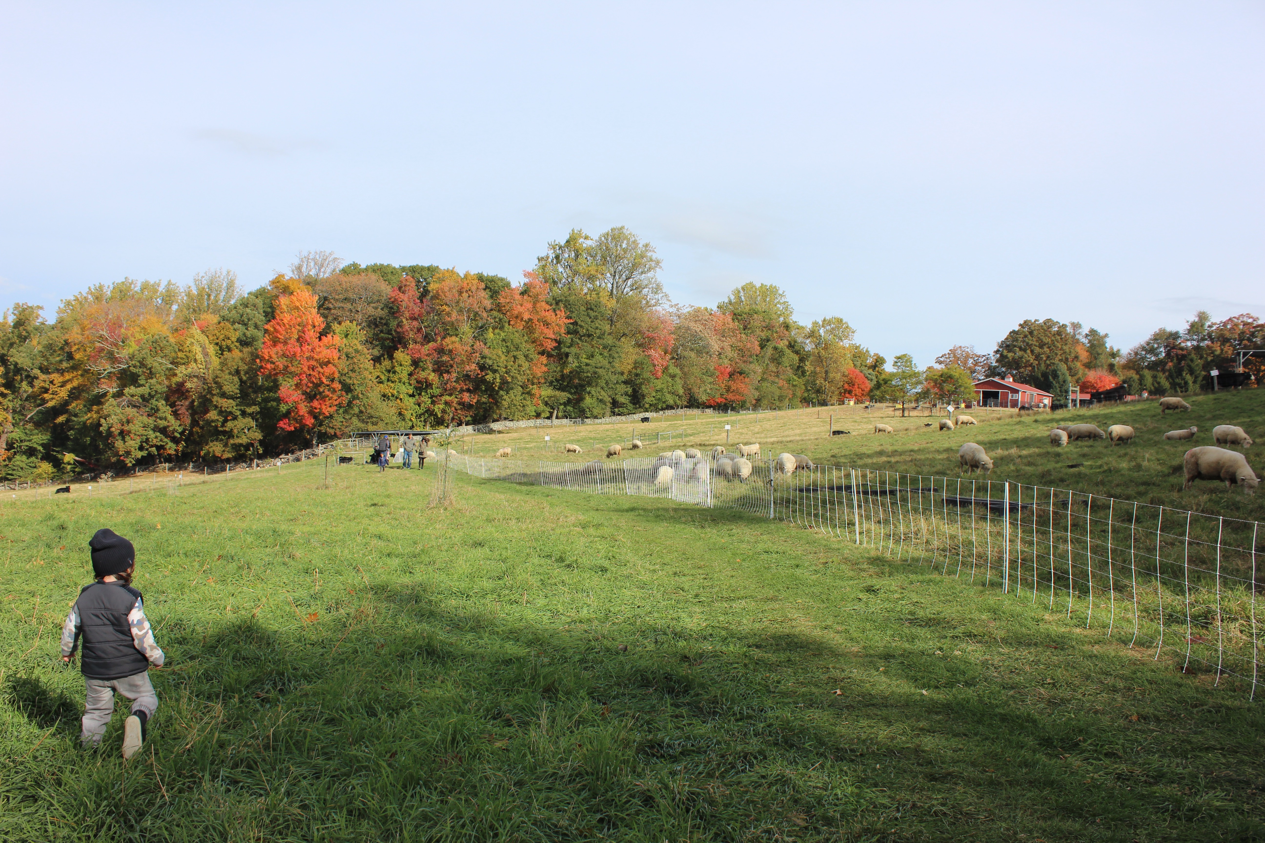 Stone Barns Center