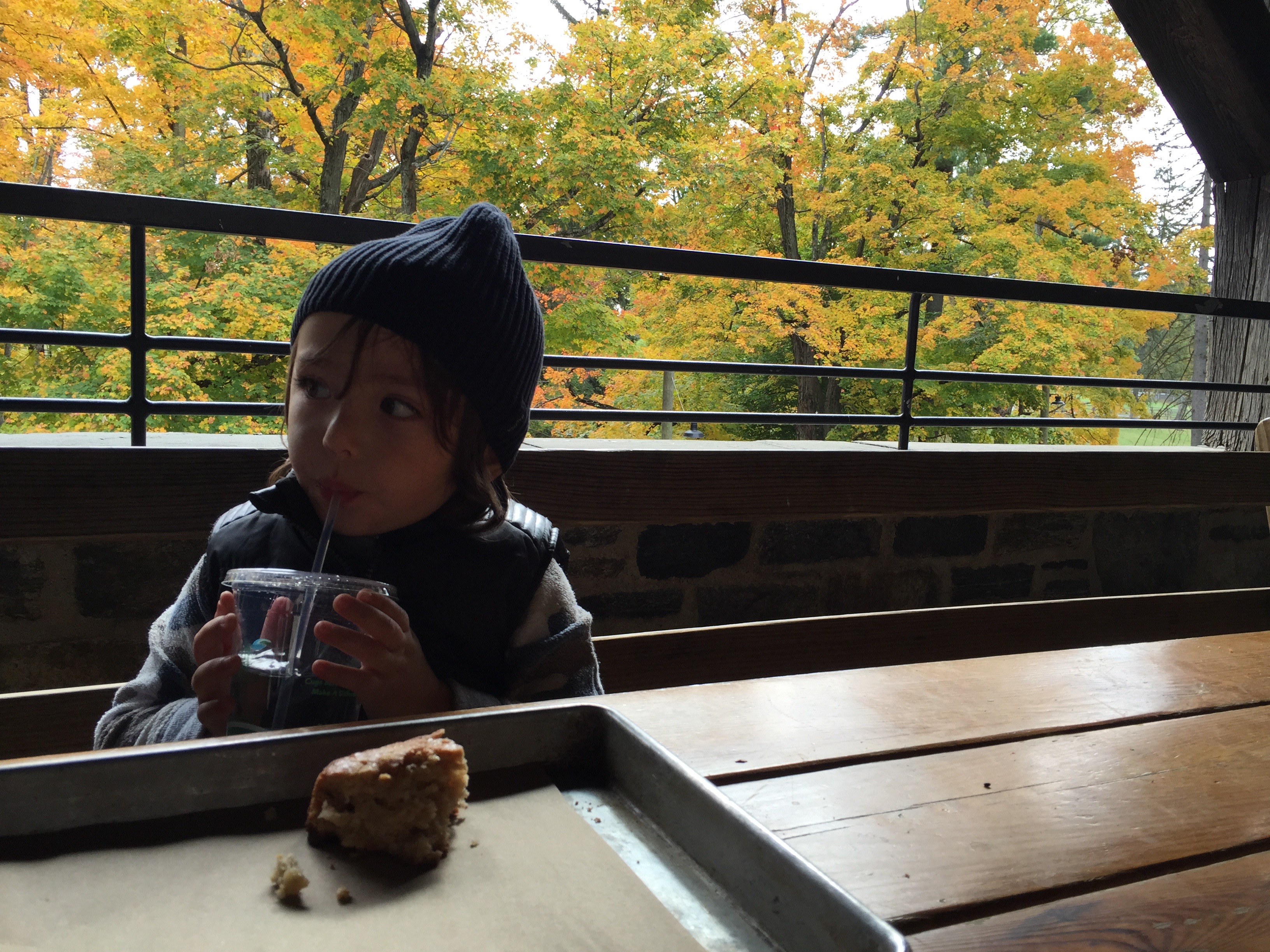 Stone Barns Center for Food and Agriculture