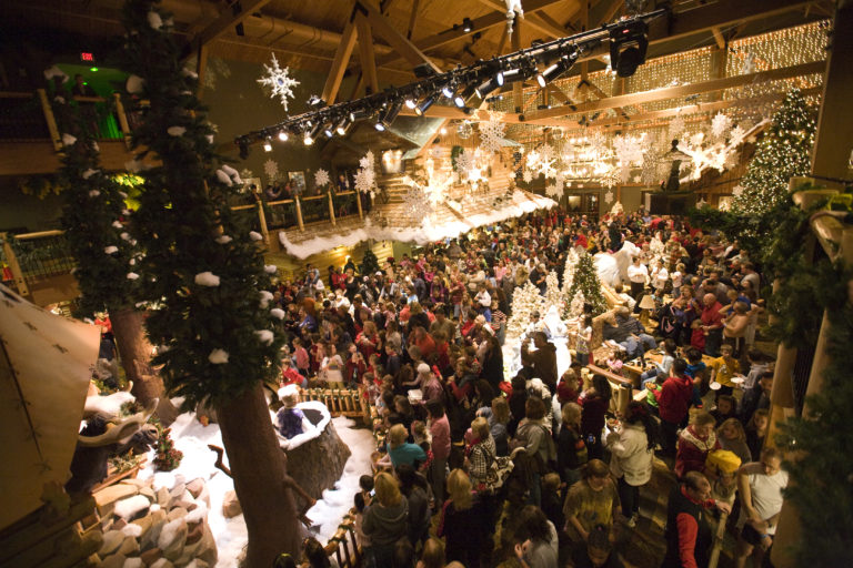 5 Reasons Why You Need to Stay at the Great Wolf Lodge for the Howlidays