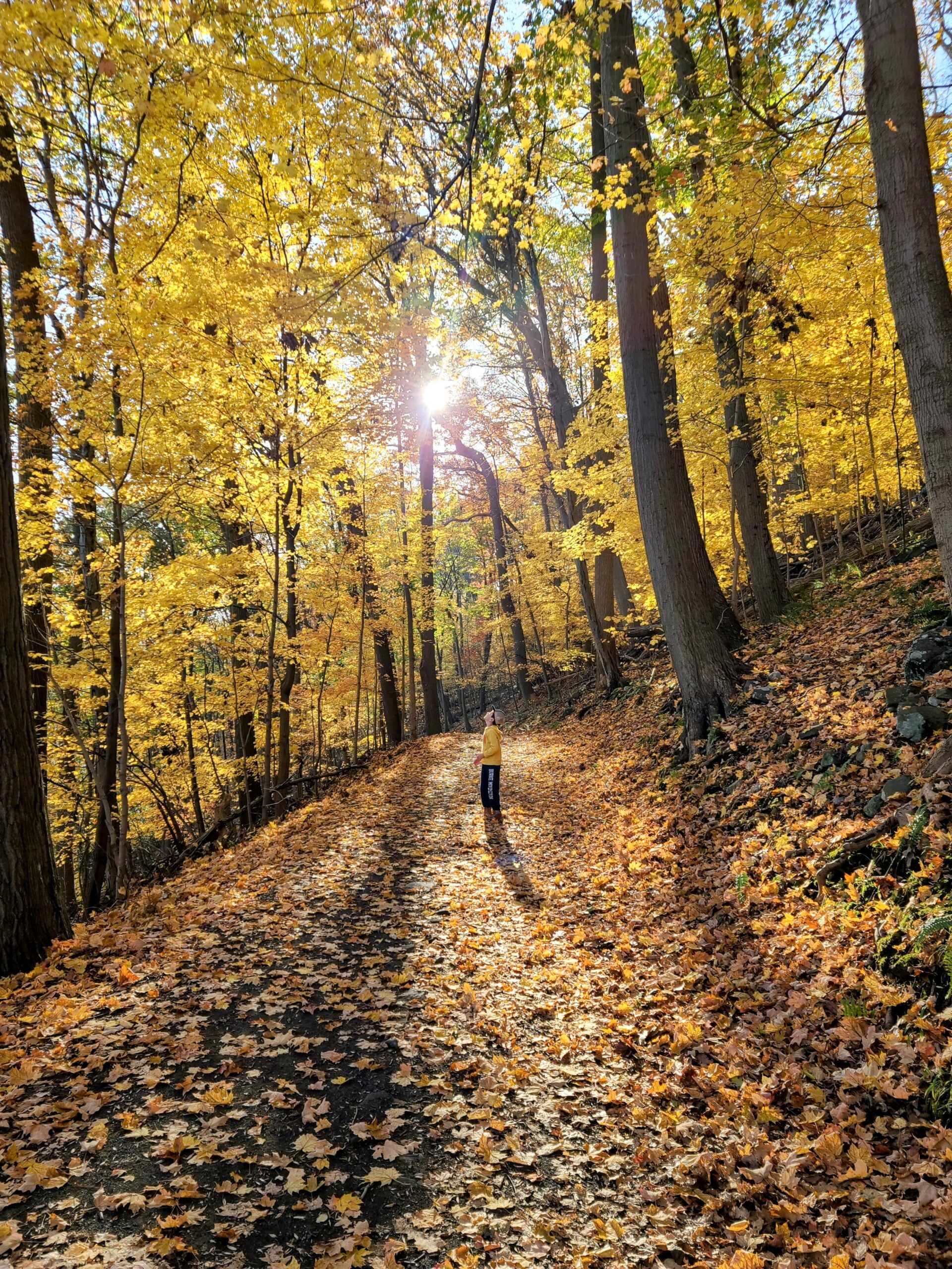 Max surrounded by bright fall trees