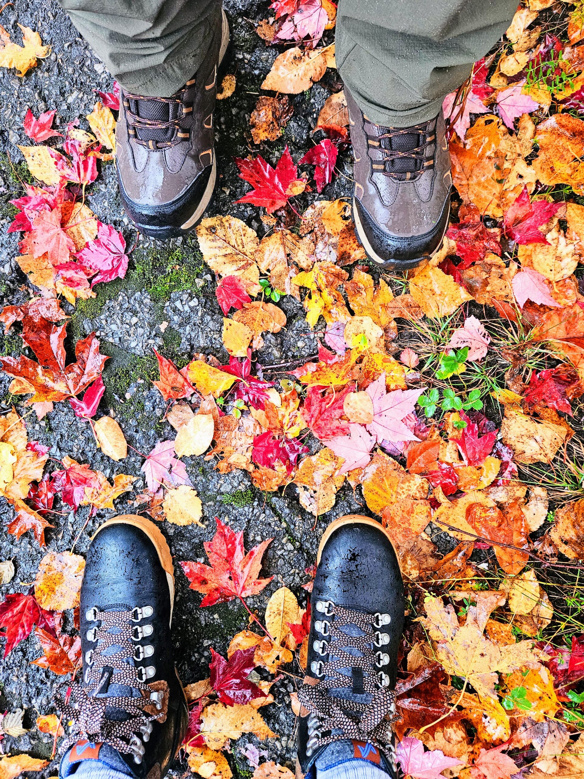 Rain boots in a pile of fall leaves